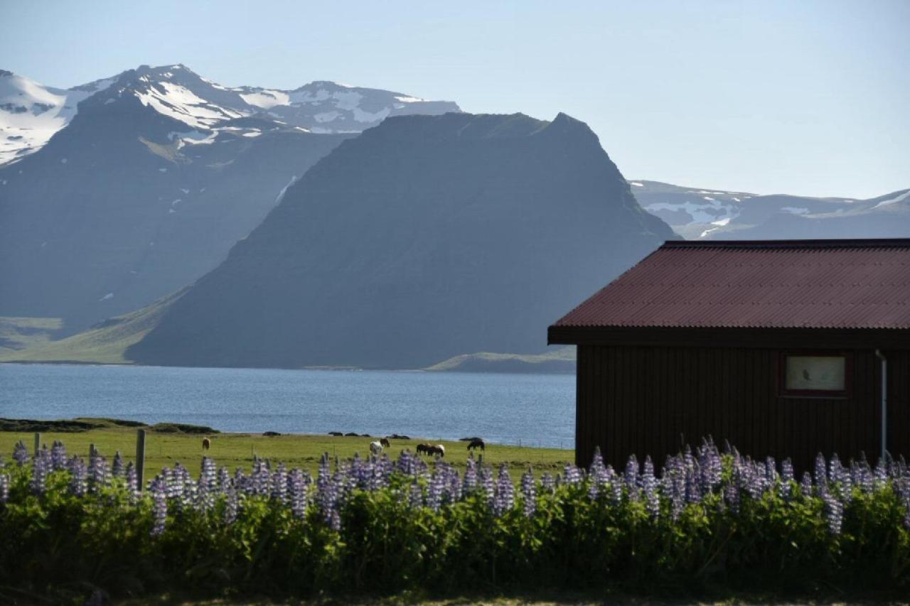 Sudur-Bár Guesthouse Grundarfjörður Eksteriør billede