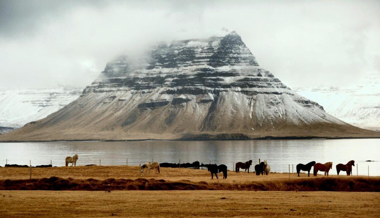 Sudur-Bár Guesthouse Grundarfjörður Eksteriør billede