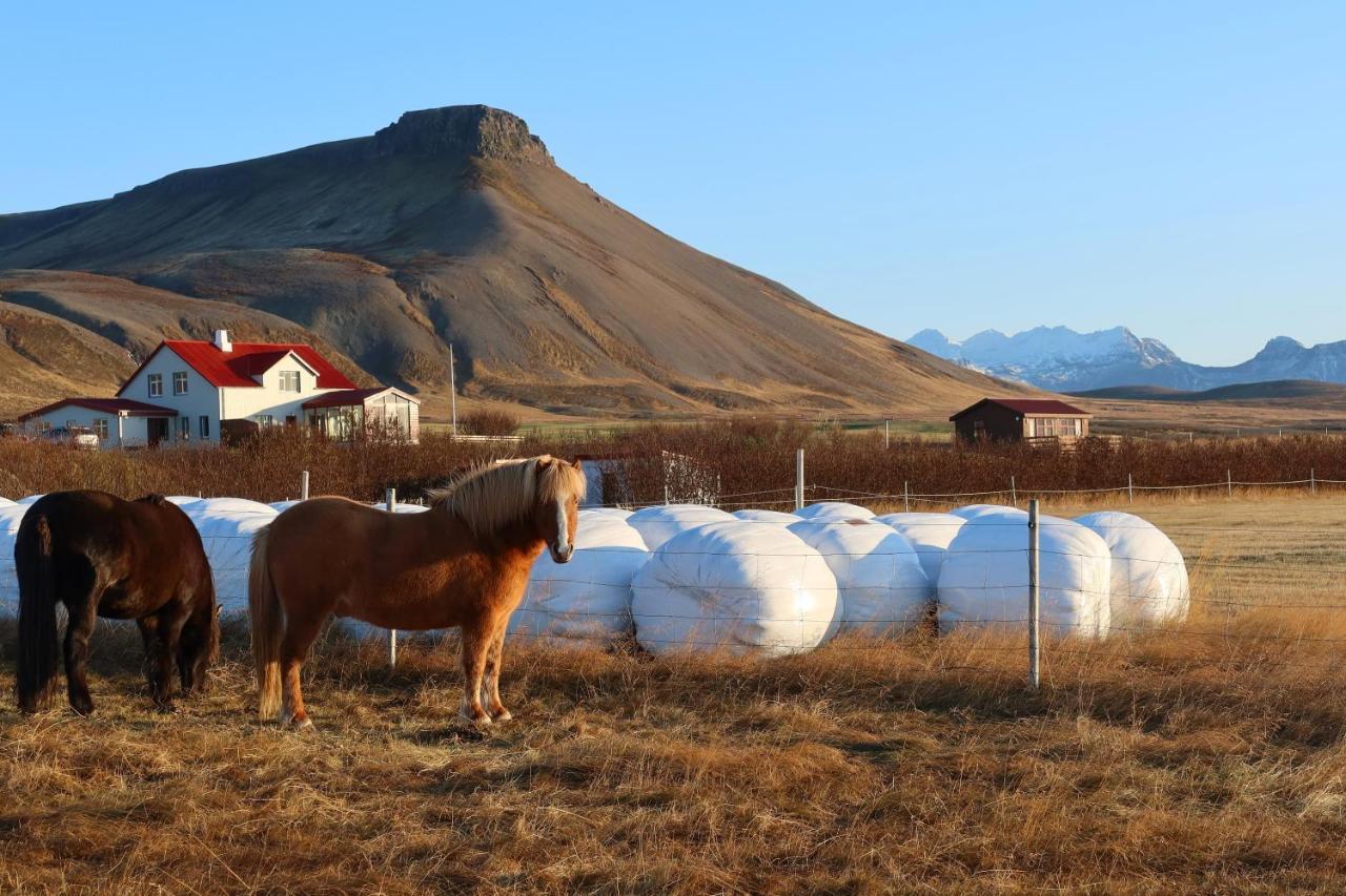 Sudur-Bár Guesthouse Grundarfjörður Eksteriør billede